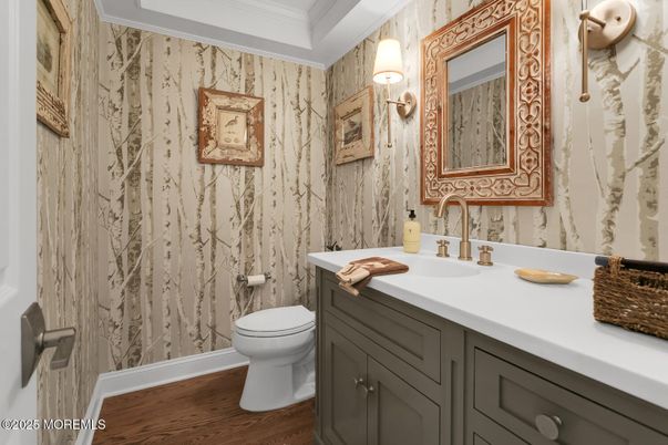 Bathroom, Interior, Wood Texture Flooring