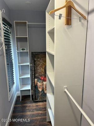 Interior, Walk-in Closets, Wood Texture Flooring