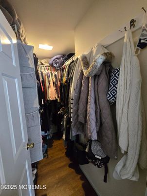 Interior, Walk-in Closets, Wood Texture Flooring