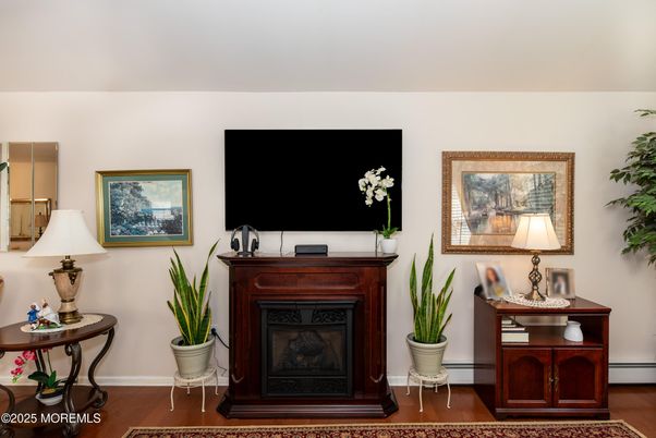 Fireplace, Interior, Wood Texture Flooring