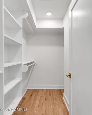 Interior, Recessed Lighting, Walk-in Closets, Wood Texture Flooring