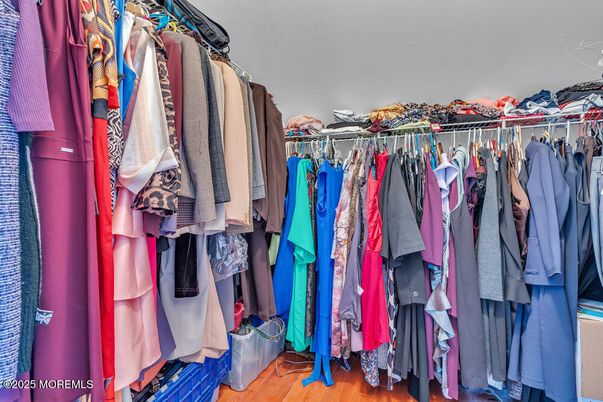 Interior, Walk-in Closets, Wood Texture Flooring