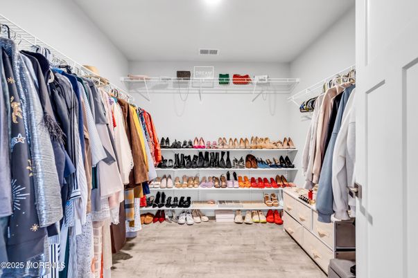 Interior, Walk-in Closets, Wood Texture Flooring