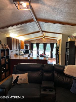 Home Theatre Room, Interior, Kitchen, Living room