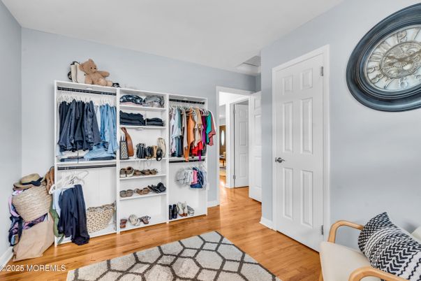 Interior, Walk-in Closets, Wood Texture Flooring