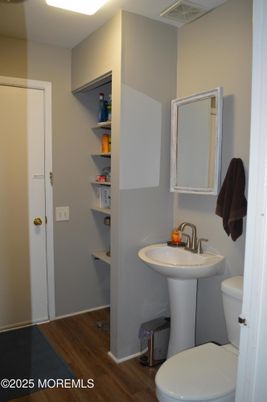 Bathroom, Interior, Wood Texture Flooring