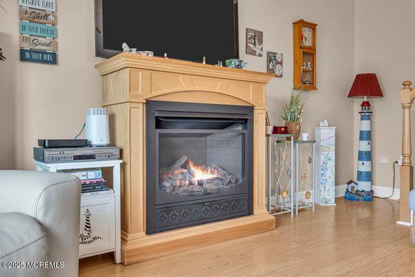 Fireplace, Interior, Wood Texture Flooring