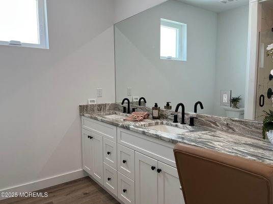 Bathroom, Dual Sink Vanities, Interior, Wood Texture Flooring