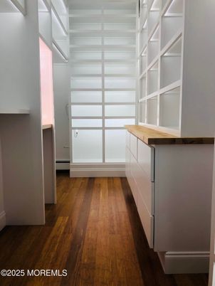 Interior, Walk-in Closets, Wood Texture Flooring