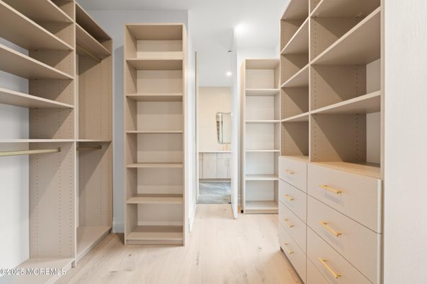 Interior, Recessed Lighting, Walk-in Closets, Wood Texture Flooring