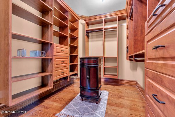 Interior, Walk-in Closets, Wood Texture Flooring