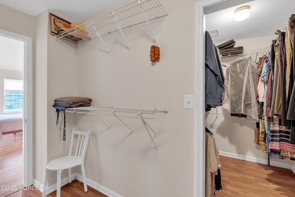 Interior, Walk-in Closets, Wood Texture Flooring