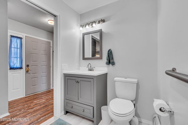 Bathroom, Interior, Wood Texture Flooring
