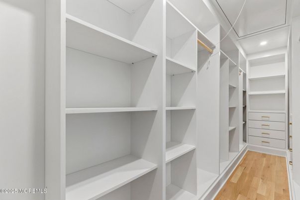 Interior, Recessed Lighting, Walk-in Closets, Wood Texture Flooring