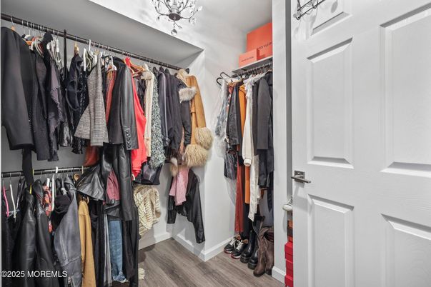 Interior, Walk-in Closets, Wood Texture Flooring