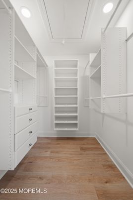Interior, Recessed Lighting, Walk-in Closets, Wood Texture Flooring