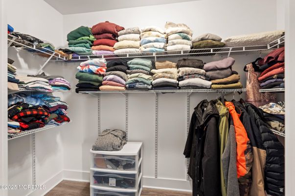 Interior, Walk-in Closets, Wood Texture Flooring