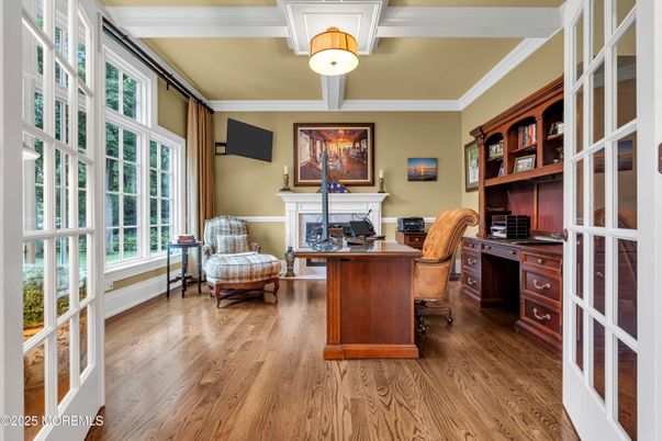 Fireplace, Home Office, Interior, Wood Texture Flooring