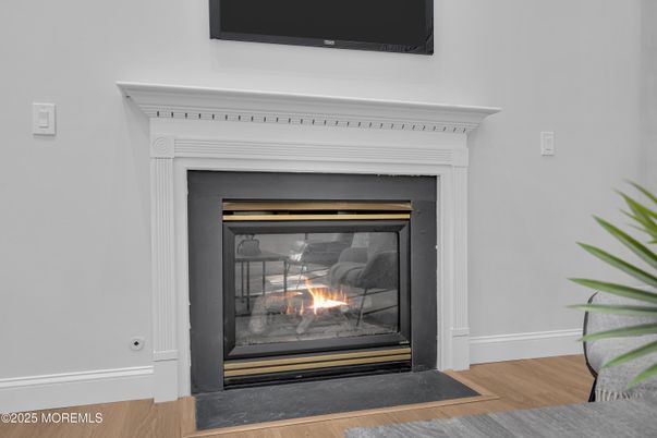 Fireplace, Interior, Wood Texture Flooring