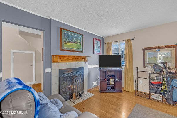 Fireplace, Interior, Wood Texture Flooring