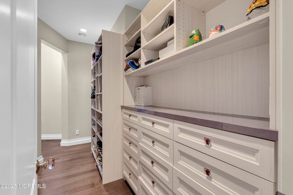 Interior, Recessed Lighting, Walk-in Closets, Wood Texture Flooring