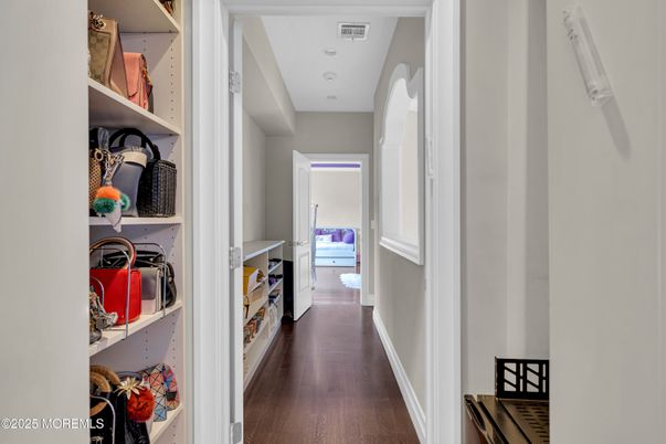Interior, Recessed Lighting, Walk-in Closets, Wood Texture Flooring