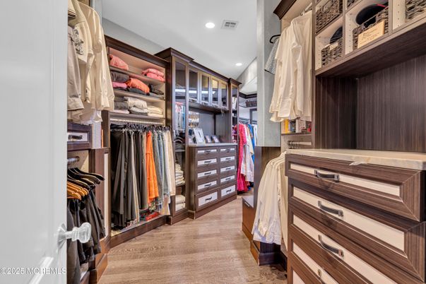 Interior, Recessed Lighting, Walk-in Closets, Wood Texture Flooring