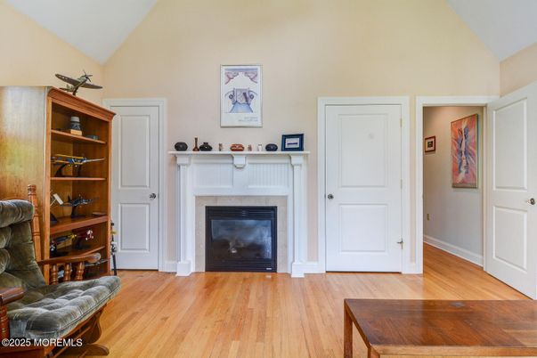 Fireplace, Interior, Wood Texture Flooring