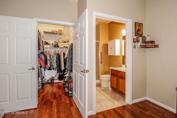 Bathroom, Interior, Walk-in Closets, Wood Texture Flooring