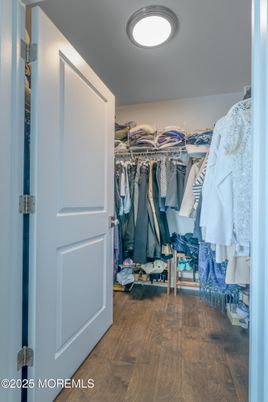 Interior, Recessed Lighting, Walk-in Closets, Wood Texture Flooring