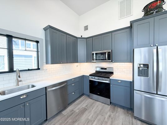 Interior, Kitchen, Stainless Steel Appliances, Wood Texture Flooring