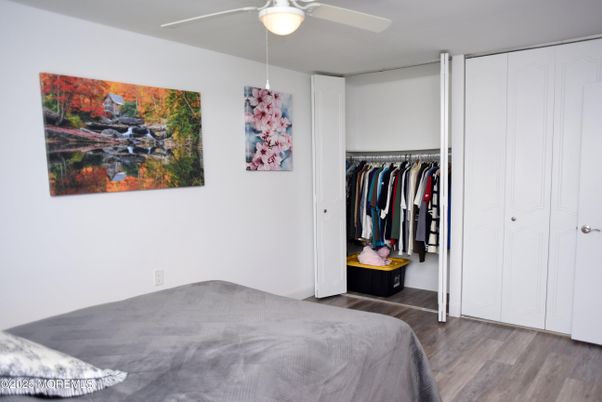 Bedroom, Interior, Walk-in Closets, Wood Texture Flooring