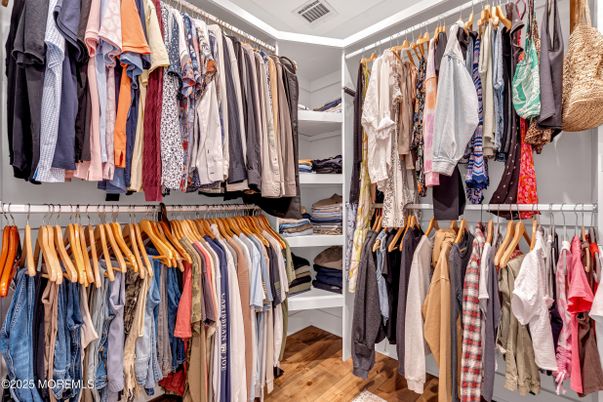 Interior, Walk-in Closets, Wood Texture Flooring