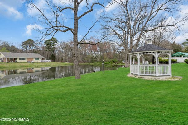 Backyard, Exterior, Water