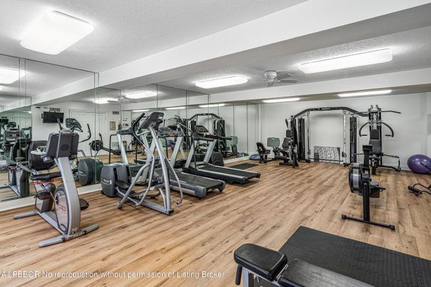 Fitness Equipment, Gym, Interior, Wood Texture Flooring