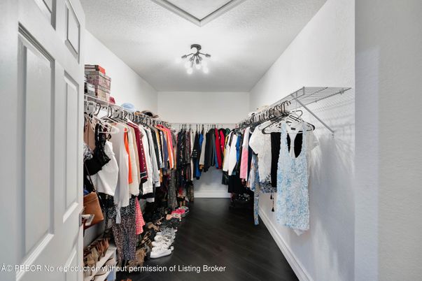 Interior, Walk-in Closets, Wood Texture Flooring