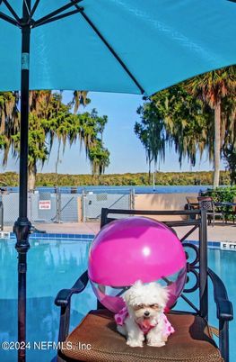 Exterior, Pool, Water