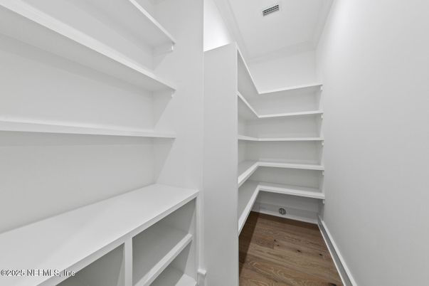 Interior, Walk-in Closets, Wood Texture Flooring