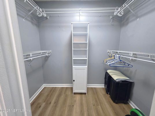 Interior, Walk-in Closets, Wood Texture Flooring