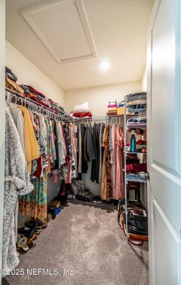 Interior, Recessed Lighting, Walk-in Closets
