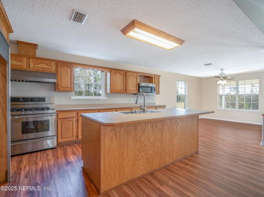 Interior, Kitchen, Stainless Steel Appliances, Wood Texture Flooring