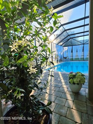 Glass Ceilings, Interior, Pool, Sun Room