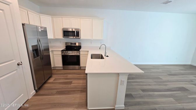 Interior, Kitchen, Stainless Steel Appliances, Wood Texture Flooring