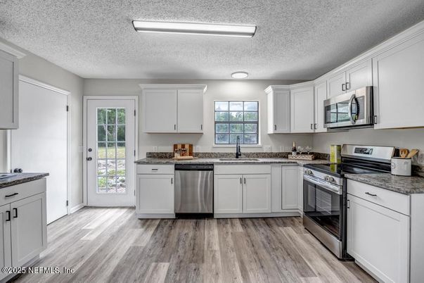 Interior, Kitchen, Stainless Steel Appliances, Wood Texture Flooring