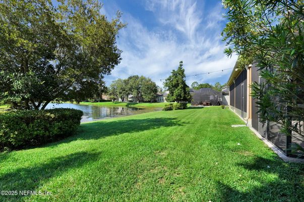 Backyard, Exterior, Water