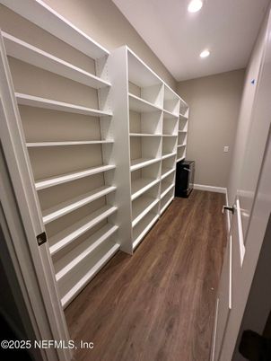Interior, Recessed Lighting, Walk-in Closets, Wood Texture Flooring