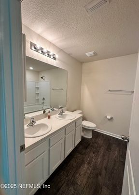 Bathroom, Dual Sink Vanities, Interior, Wood Texture Flooring
