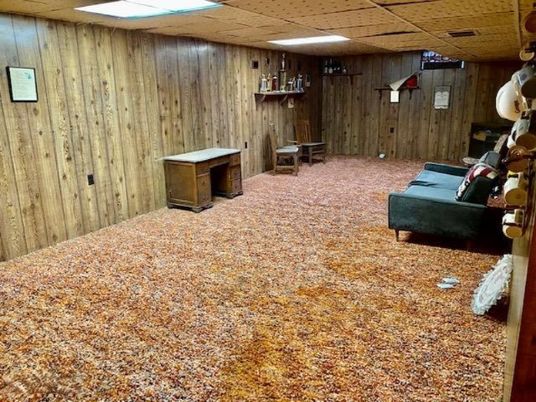Interior, Recessed Lighting, Wooden Walls