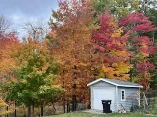 Backyard, Detached Garage, Exterior