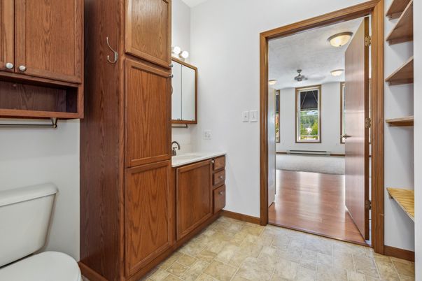 Bathroom, Interior, Wood Texture Flooring